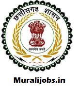 CG Govt Jobs 2024 Apply Online CG Job Alert 12th pass Cg Rojgar Samachar Notification at cgstate.gov.in