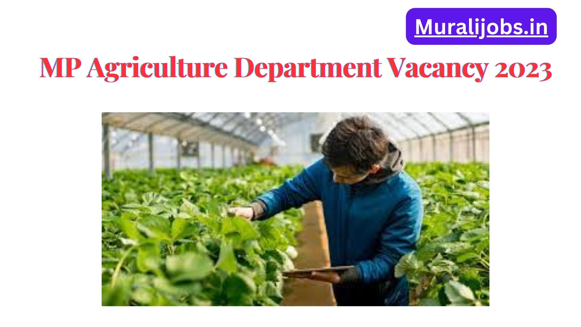 MP Agriculture Department Vacancy 2024 